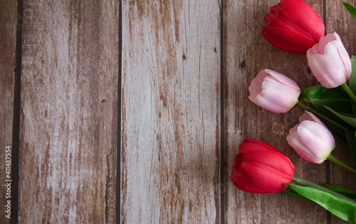 Pink and red tulips on a brown wooden background. Background for design. Spring background. Mother s Day. Women s Day. Spring day. Easter background. Easter. Copy space.