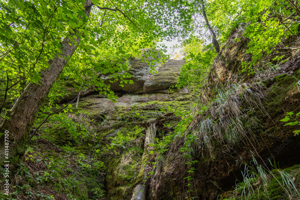 Landscape with moss covered rocks and trees in the Drachenschlucht Landscape with moss covered rocks and trees in the Drachenschlucht