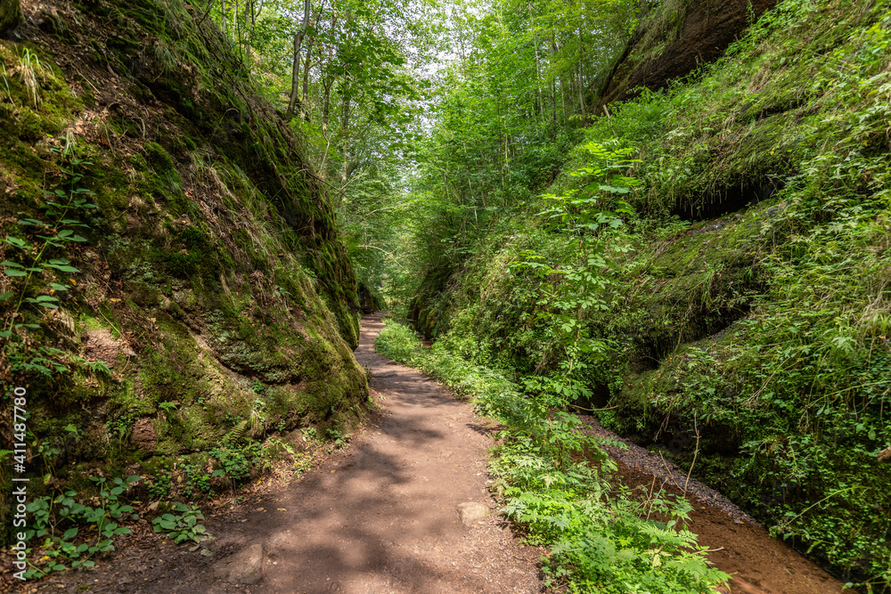 Hiking trail and stream in the Drachenschlucht near Eisenach Hiking trail and stream in the Drachenschlucht near Eisenach