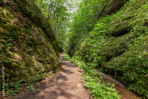 Hiking trail and stream in the Drachenschlucht near Eisenach