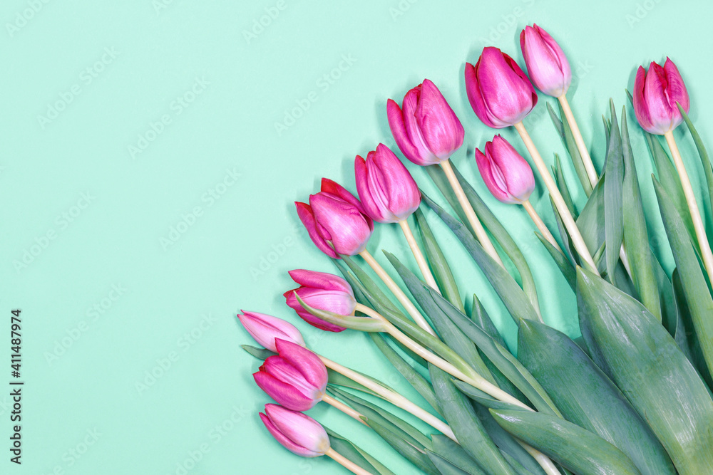 Tulip bouquet. Pink tulips on green pastel background with copy space. Gorgeous tulips for holidays. Top view. Tulip bouquet. Pink tulips on green pastel background with copy space. Gorgeous tulips for holidays. Top view.