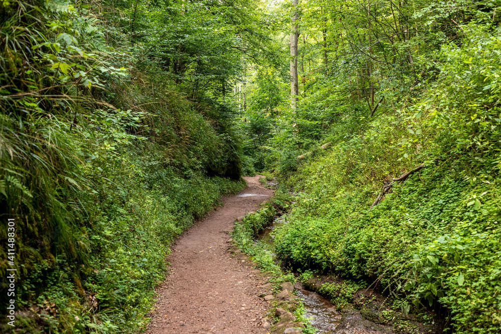 Hiking trail and stream in the Drachenschlucht near Eisenach