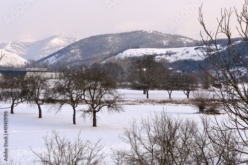 rural landscape in winter in the snow