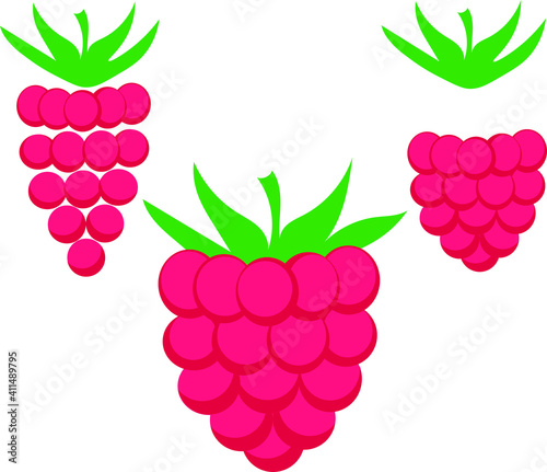 
vector raspberry berries. flat illustration of raspberry. disassembled raspberries in parts. raspberry berry elements.