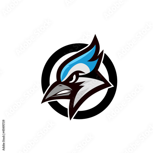 blue jay bird color head mascot logo icon designs vector illustration