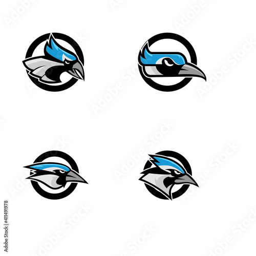 set collection blue jay bird color head mascot logo icon designs vector illustration	