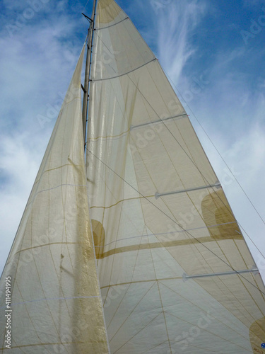 sail boat yacht sail