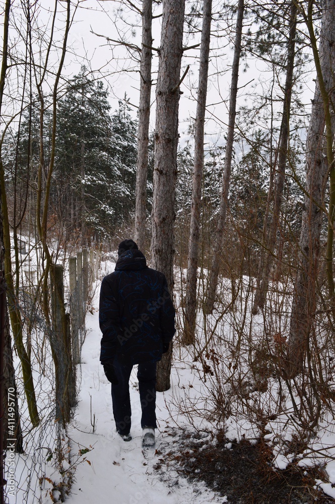 a young man walks through the woods in the winter on snow a young man walks through the woods in the winter on snow