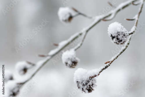Wintertime © Hans
