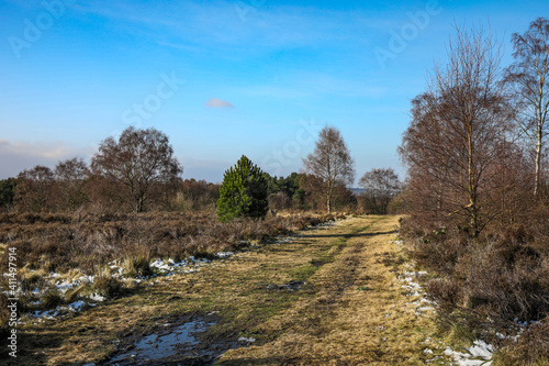 walking in lock down © garry