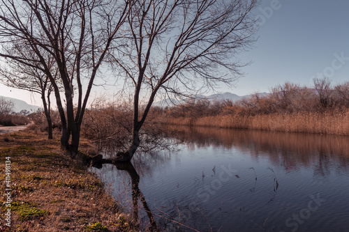calm cold river bare tree winter scenery