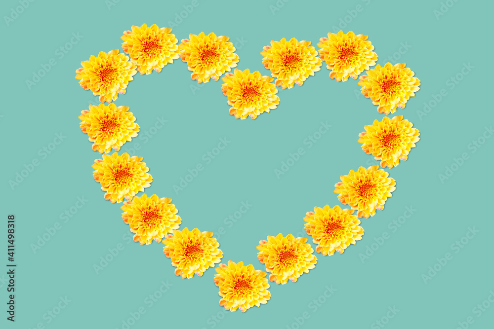 Fresh Yellow Chrysanthemum arranged in heart shape on green background , love and valentine concept Fresh Yellow Chrysanthemum arranged in heart shape on green background , love and valentine concept
