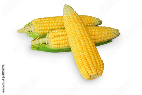 Group of fresh yellow sweet corn with leaf isolated on white background