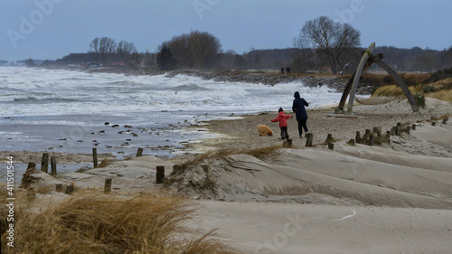 Stranspaziergang mit Hund photo