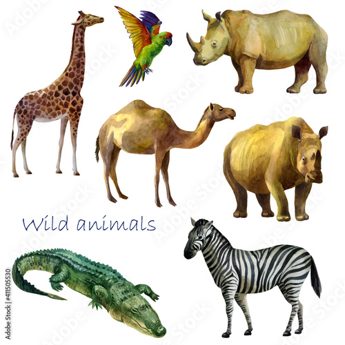 Watercolor illustration, wild animals. Rhinos, crocodile, giraffe, zebra, parrot, camel. Isolated freehand drawing on a white background.