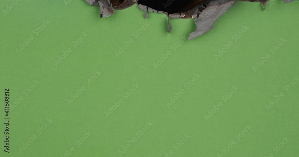 Green paper burns, revealing burnt edges, smoke and turns into ashes. Burning green screen.