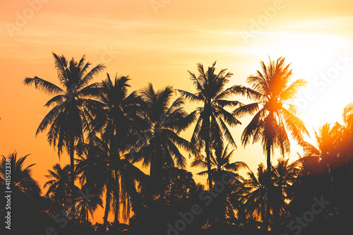 silhouette coconut tree with sunrise background