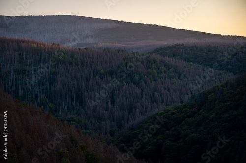 Harzer Wald