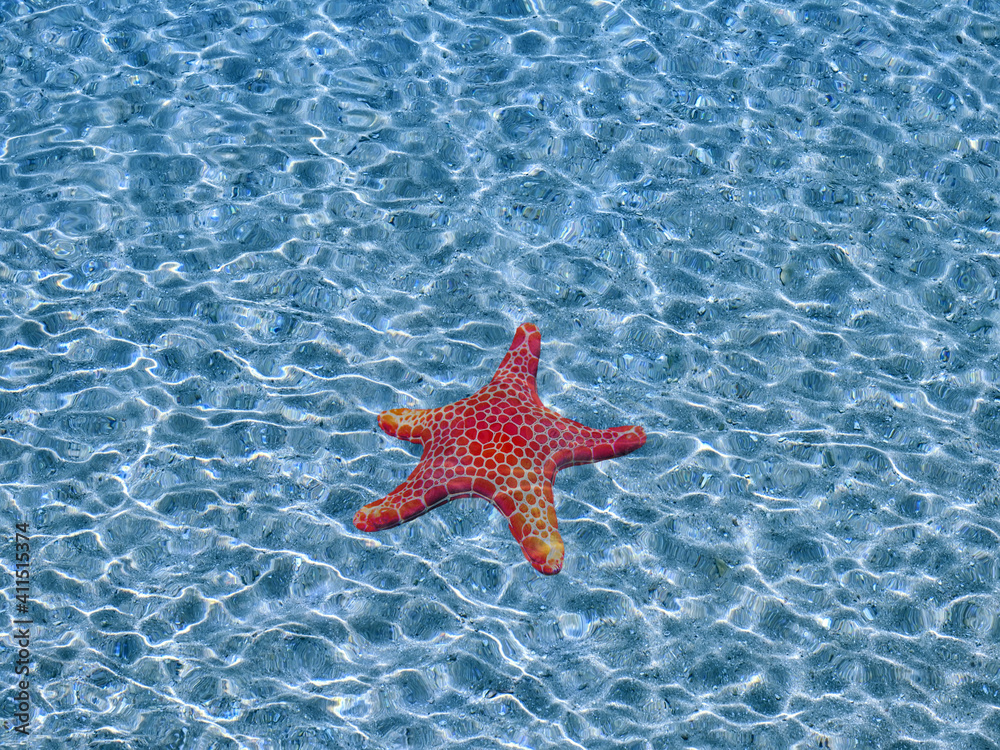 Starfish in blue water with light reflection Starfish in blue water with light reflection