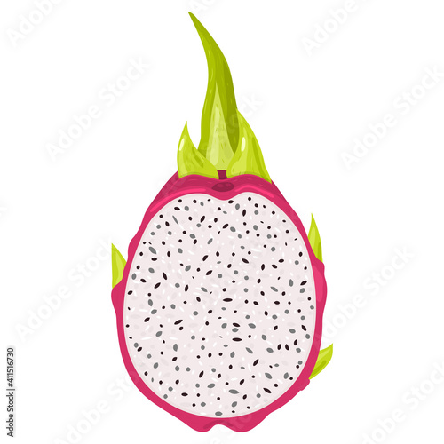 Fresh half cut red pitaya fruits isolated on white background. Summer fruits for healthy lifestyle. Organic fruit. Cartoon style. Vector illustration for any design.
