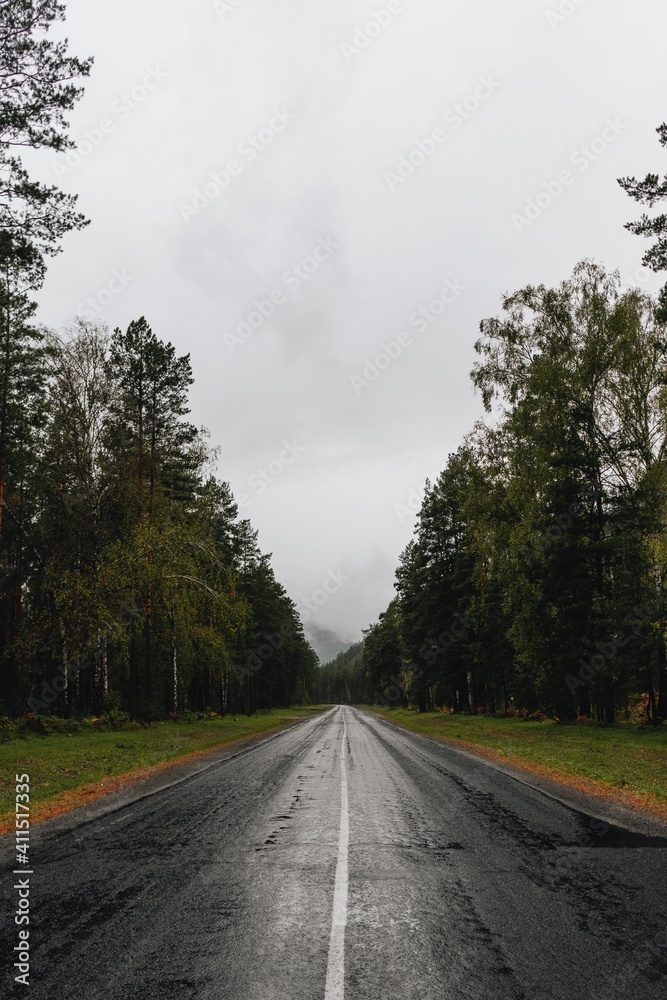 Fototapeta premium Asphalt road in the autumn forest. Cloudy weather, wet track after rain.