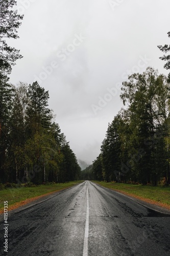 Asphalt road in the autumn forest. Cloudy weather, wet track after rain.