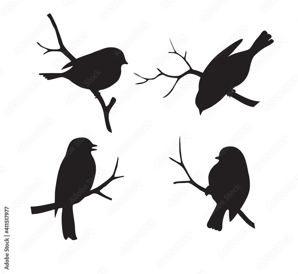 Fototapeta premium Set of forest bird sitting on twig silhouette. Collection of decorative bird icon. Vector stock illustration. 