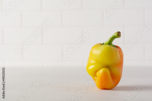 Ugly pepper that looks like a strange face on a light table. Funny, unnormal vegetable or food waste concept. photo