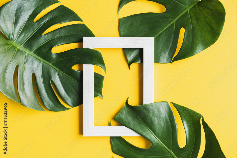 Tropical green leaves with piture frame on color background with copy ...