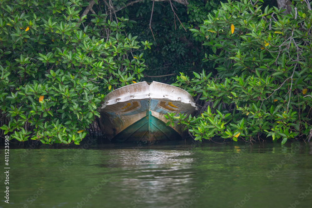 The boat in Green countryside of Sri Lanka The boat in Green countryside of Sri Lanka