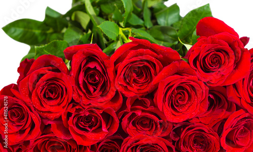 Bouquet of red roses on white background