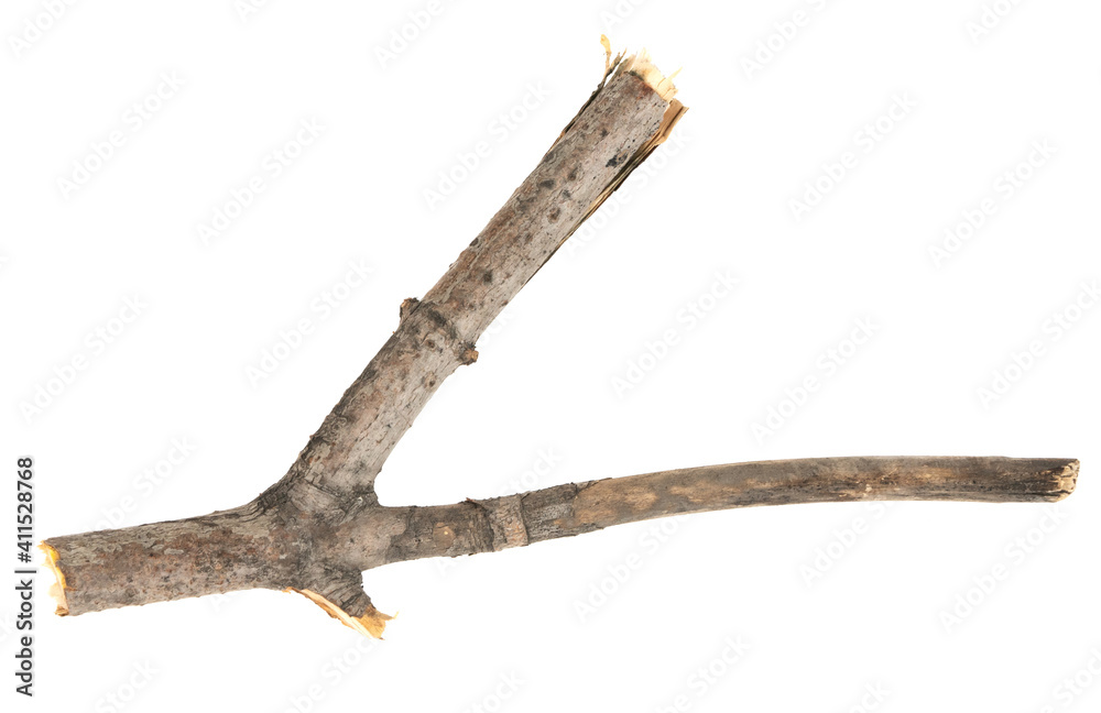 Dry tree twigs branches isolated on white background. pieces of broken wood plank on white background. close-up Dry tree twigs branches isolated on white background. pieces of broken wood plank on white background. close-up