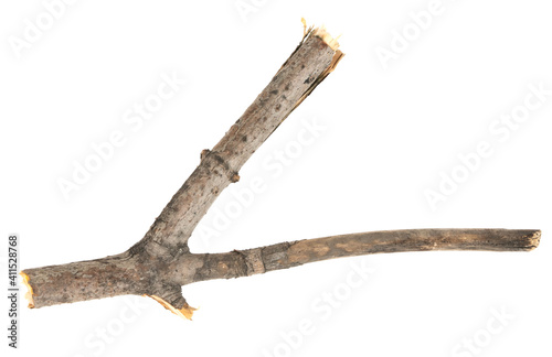 Dry tree twigs branches isolated on white background. pieces of broken wood plank on white background. close-up