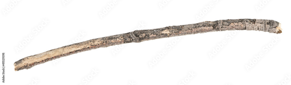 Dry tree twigs branches isolated on white background. pieces of broken wood plank on white background. close-up Dry tree twigs branches isolated on white background. pieces of broken wood plank on white background. close-up