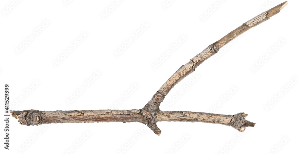 Obraz premium Dry tree twigs branches isolated on white background. pieces of broken wood plank on white background. close-up
