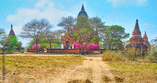 The blooming garden around ancient temple, Bagan, Myanmar photo