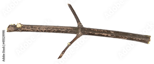 Dry tree twigs branches isolated on white background. pieces of broken wood plank on white background. close-up