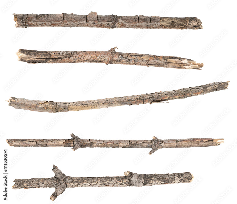 Сollage dry tree twigs branches isolated on white background. pieces of broken wood plank on white background. close-up Сollage dry tree twigs branches isolated on white background. pieces of broken wood plank on white background. close-up