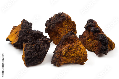 Chaga mushroom pieces isolated on white background. Inonotus obliquus photo