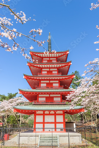 Fujiyoshida, Japan at Chureito Pagoda in spring season.