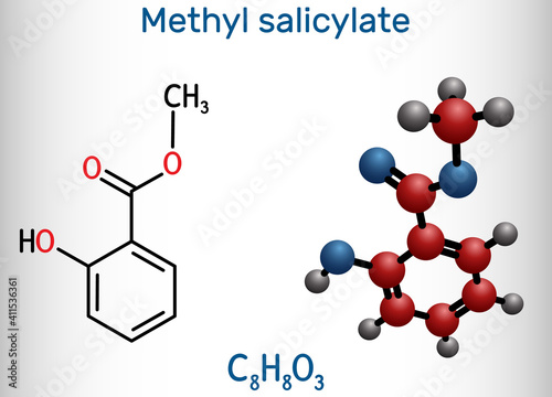 Methyl salicylate, wintergreen oil molecule. It is methyl ester of salicylic acid, flavouring agent, metabolite, insect attractant. Structural chemical formula and molecule model