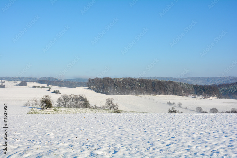 Snow landscape with fields , forest  and  blue sky