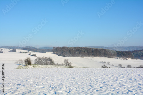 Snow landscape with fields , forest  and  blue sky © Claudia Evans 