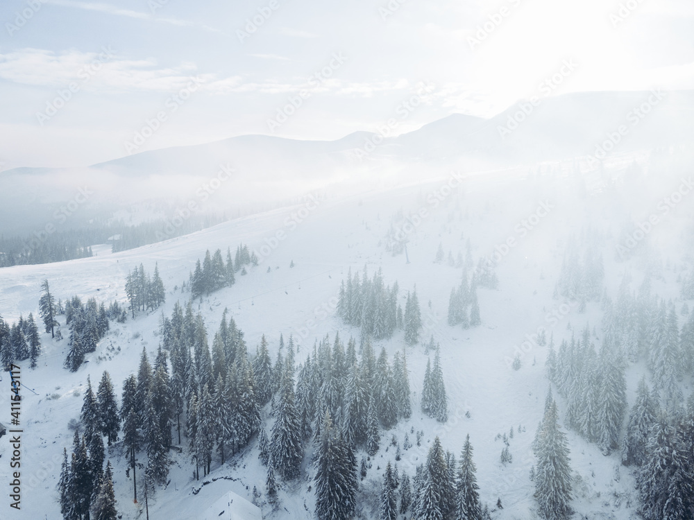 aerial view of snowed forest in mountains aerial view of snowed forest in mountains