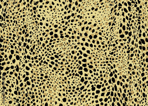 Cheetah spots pattern design. Vector illustration background. Wildlife fur skin design illustration.
