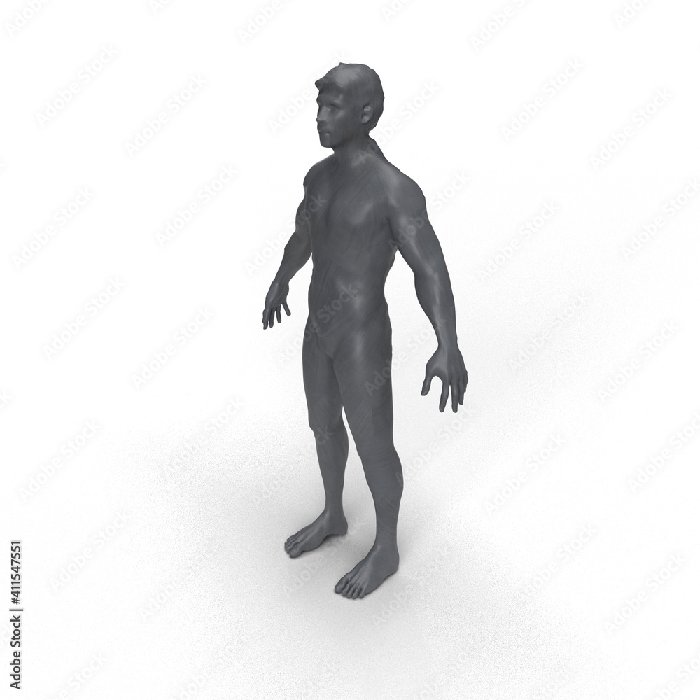 man mannequin on a white background man mannequin on a white background