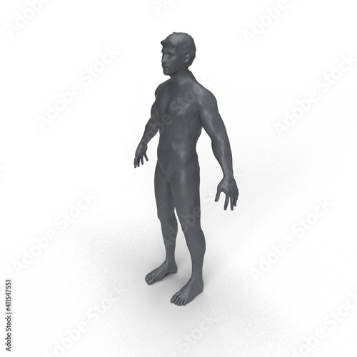 man mannequin on a white background