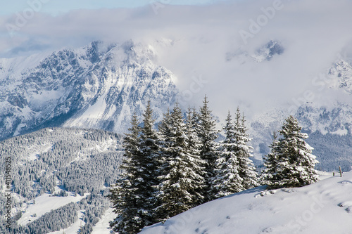 Fototapeta Naklejka Na Ścianę i Meble -  The Austrian Alps in winter near Kitzbuhel. Behind the snow covered fir trees the fog rises revealing the magnificent mountain peaks.
