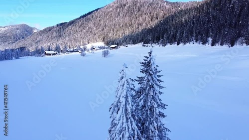 Flug mit Drohne zwischen zwei Bäume durch