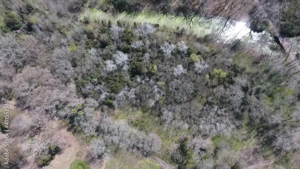 Los hermosos arboles de un Parque Los hermosos arboles de un Parque